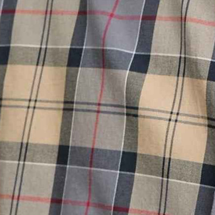 Camicia