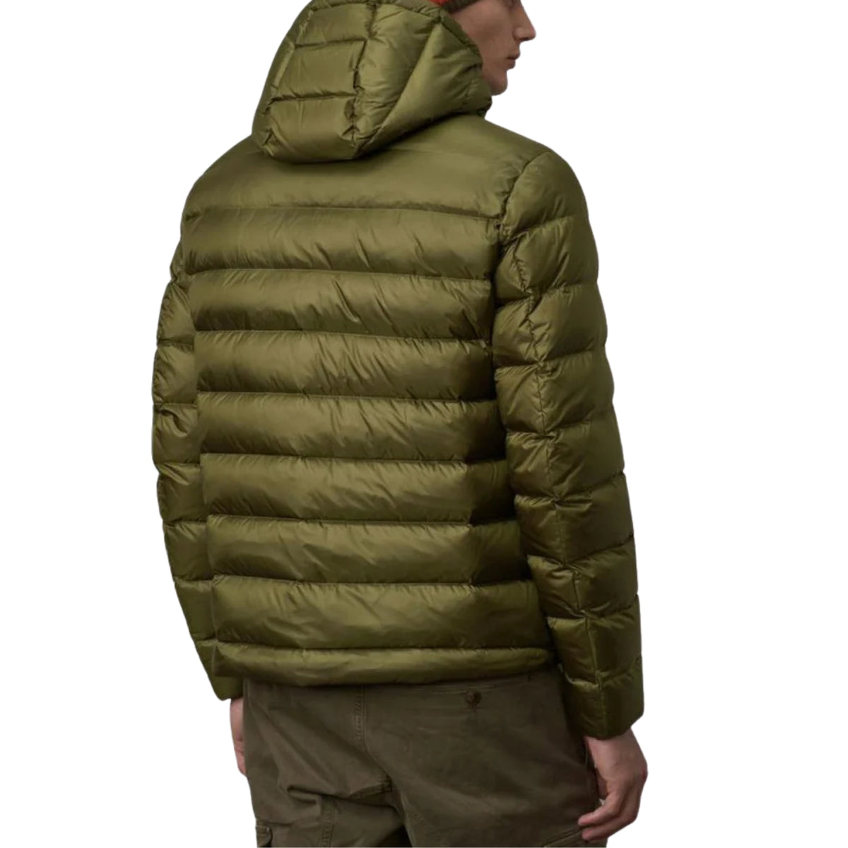 Piumino uomo BLAUER in nylon micro-rip - Oliva