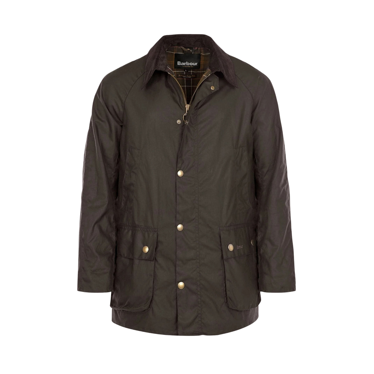 Giubbotto Ashby Wax - Verde
