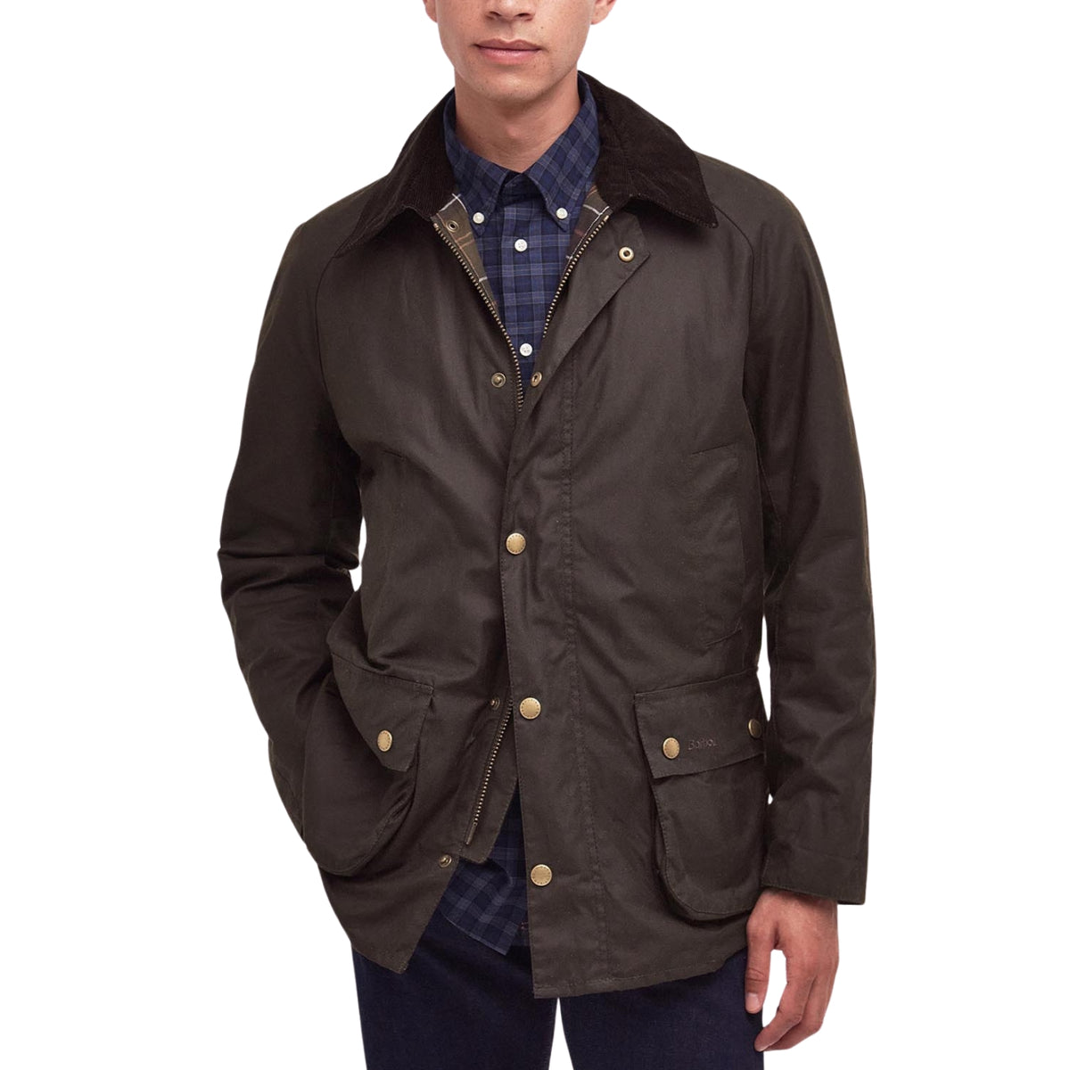 Giubbotto Ashby Wax - Verde