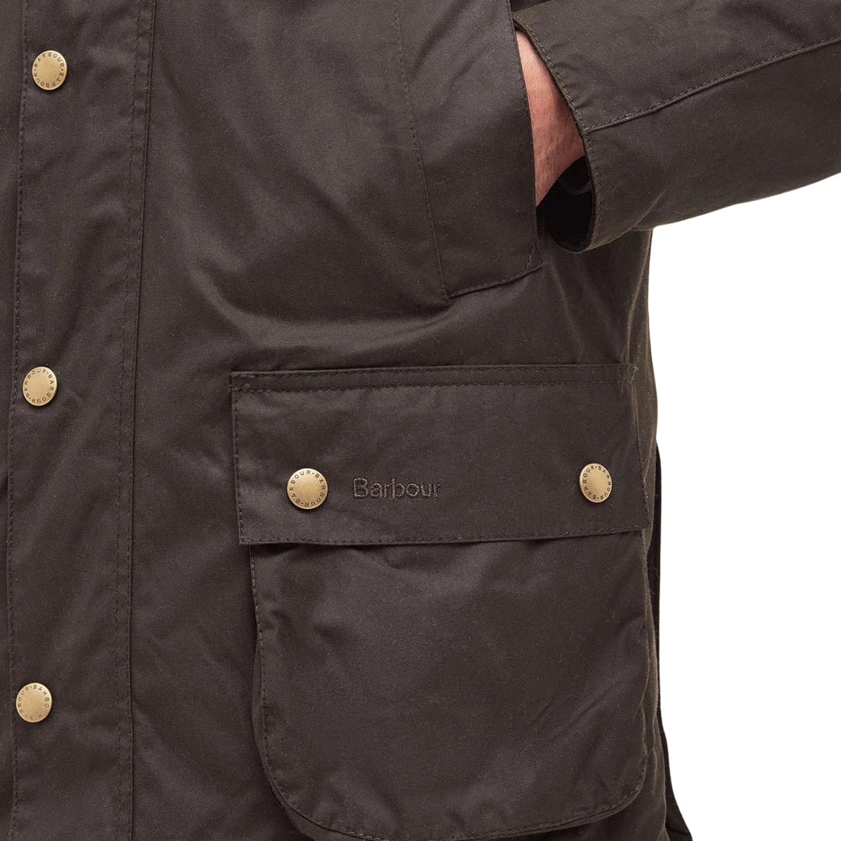 Giubbotto Ashby Wax - Verde