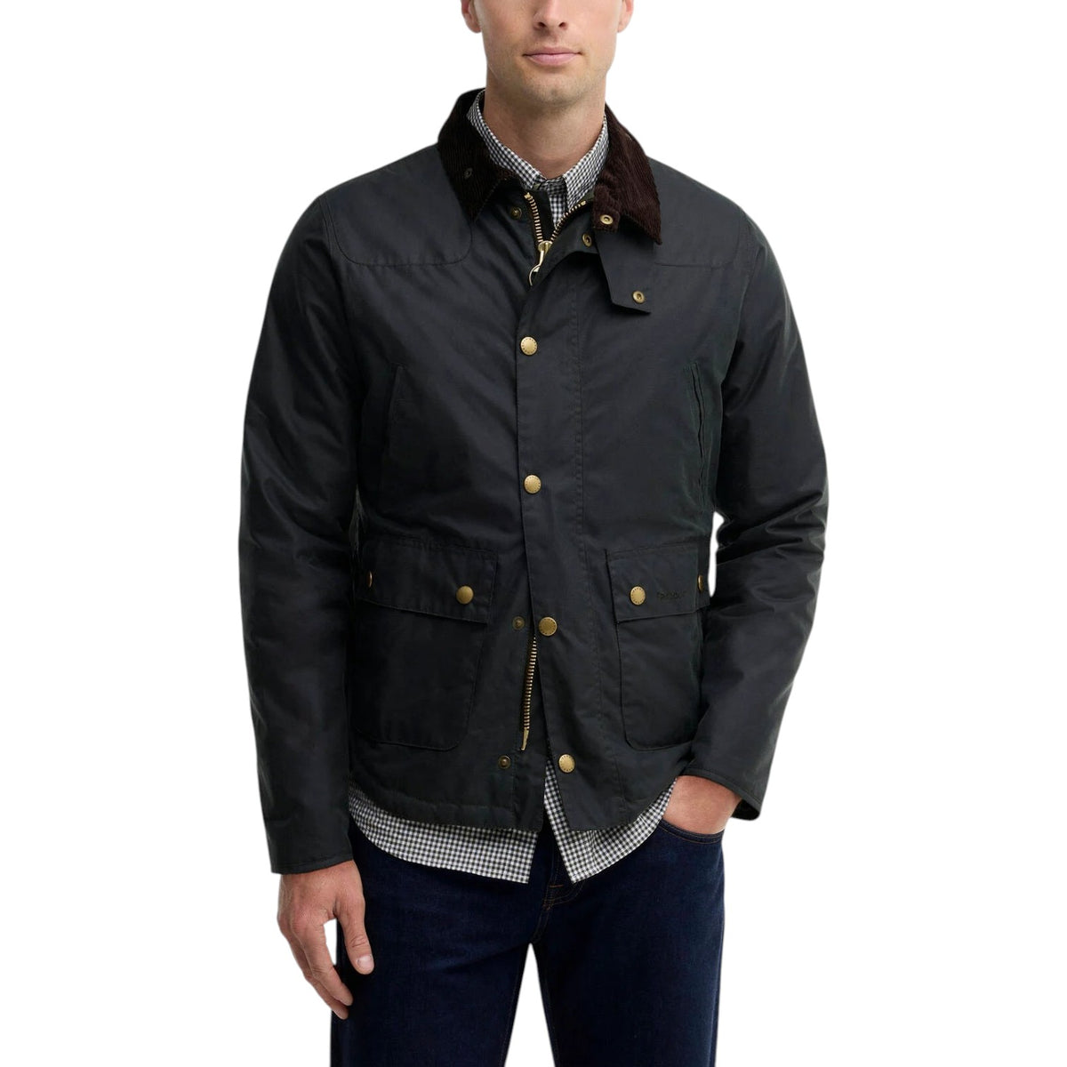 Giacca in cotone cerato Reelin - SAGE